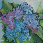 Hydrangeas